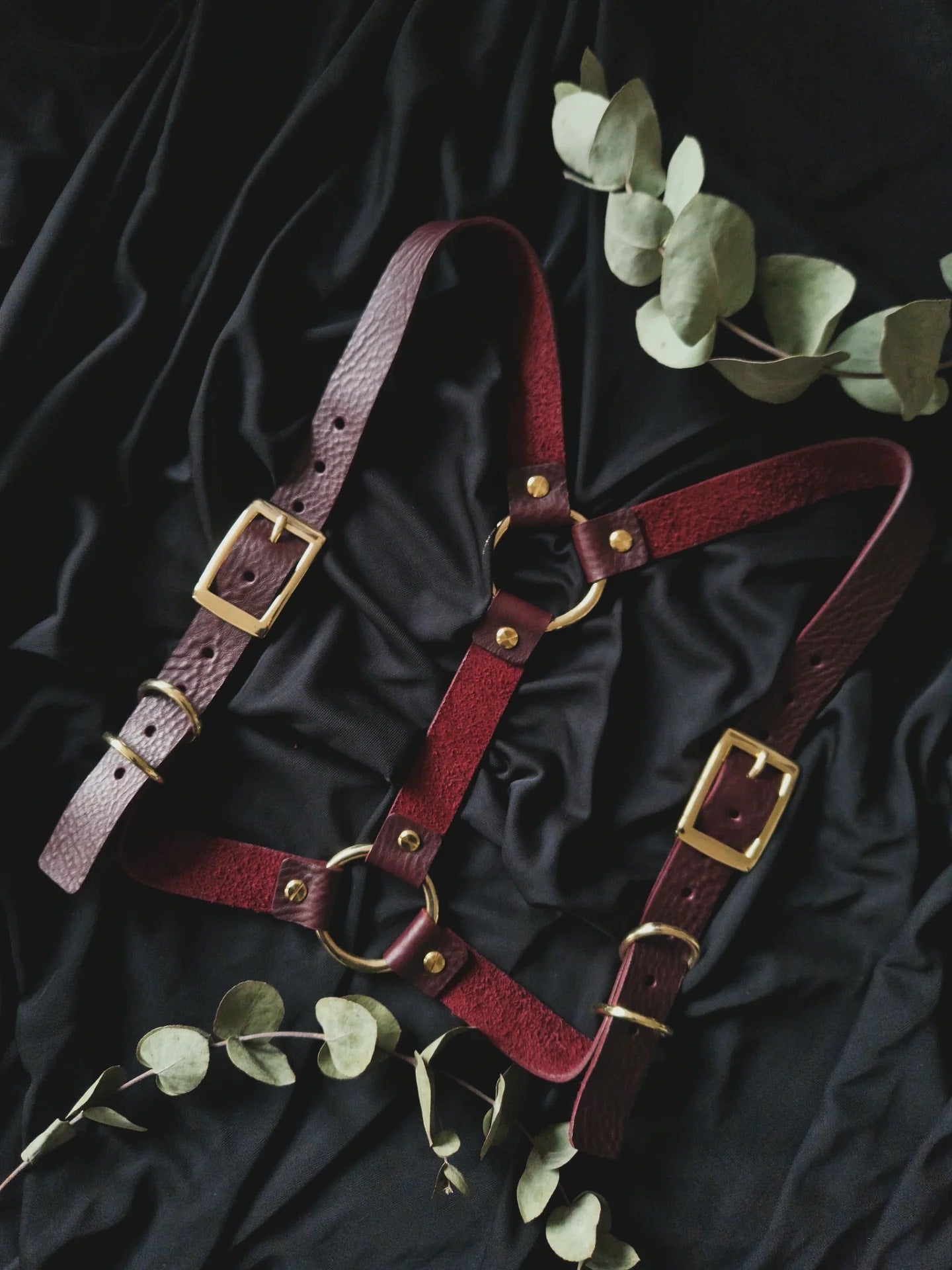 Andromeda Harness