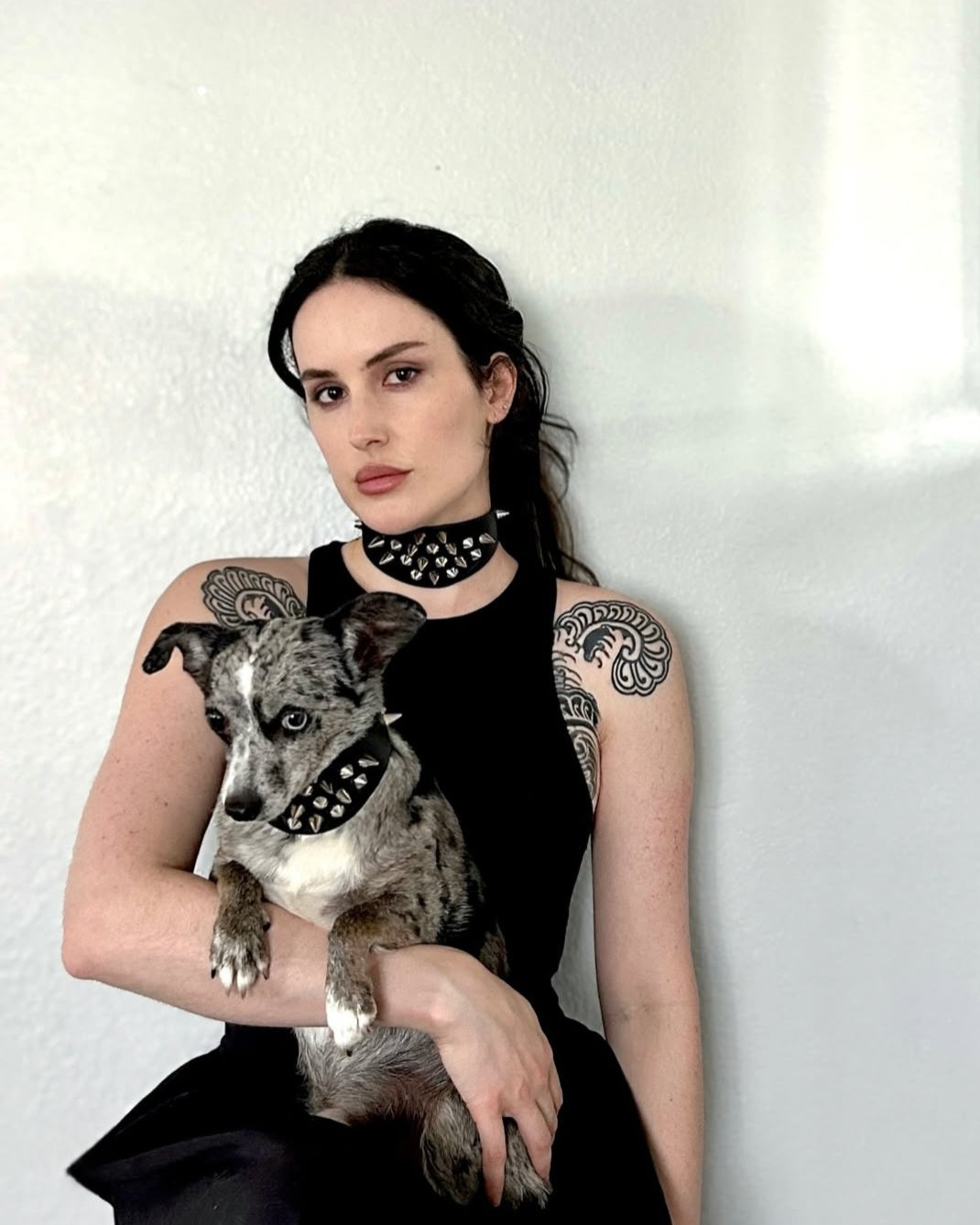 Cerberus Collar