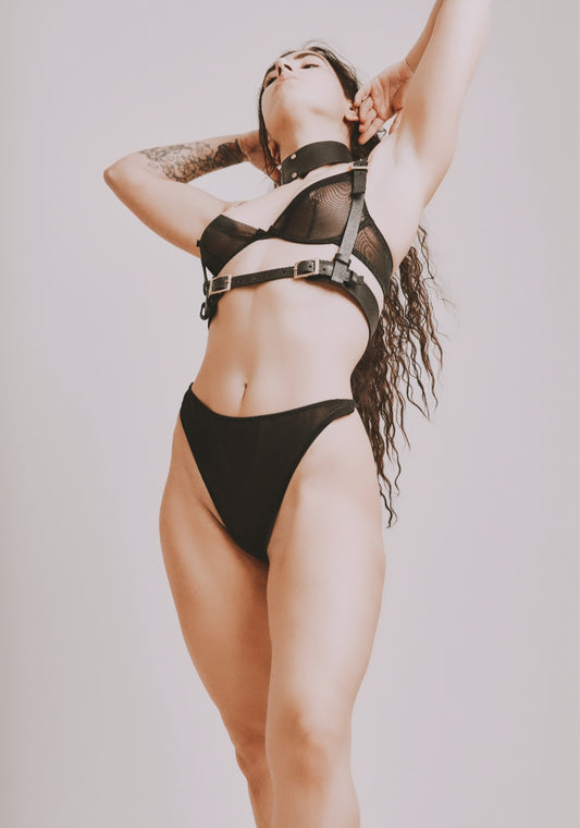 Persephone Harness