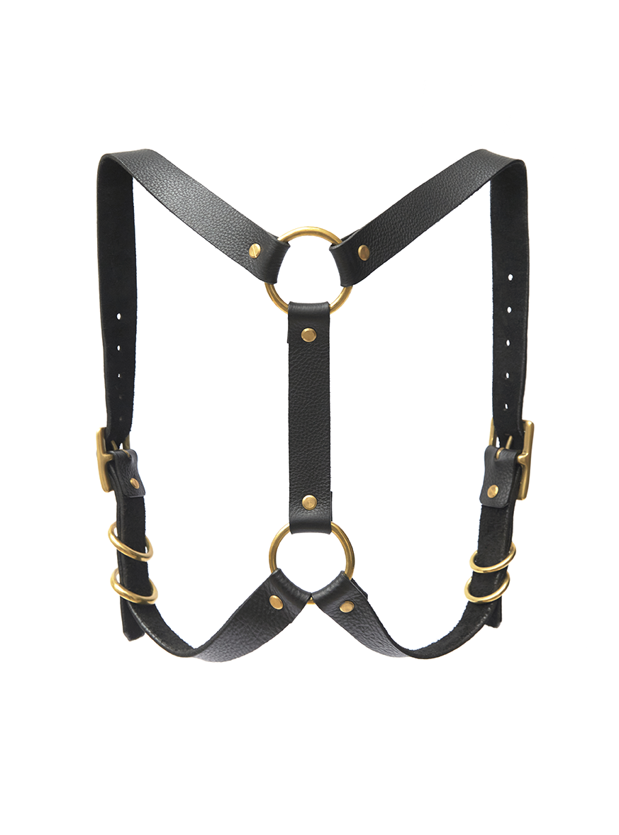 Andromeda Harness