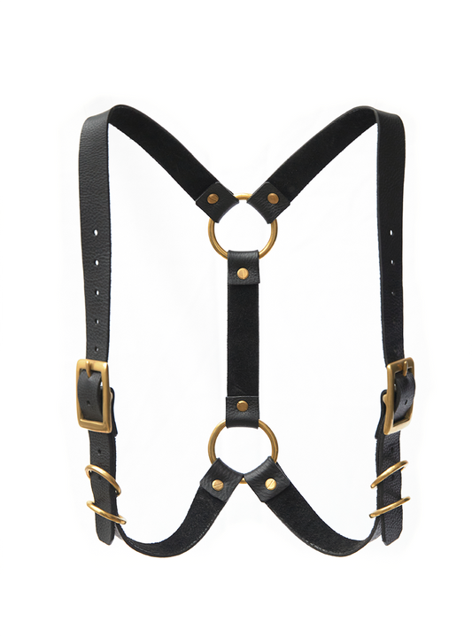 Andromeda Harness